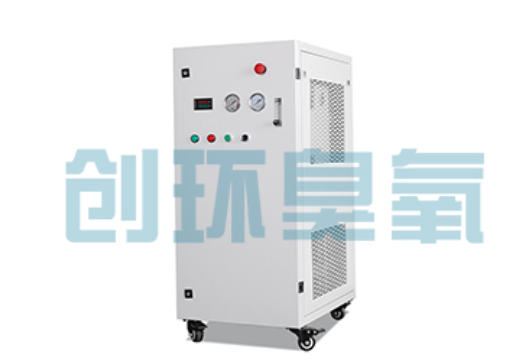 滁州石斑鱼养殖水质调控完整指南：臭氧发生器配置与操作步骤
