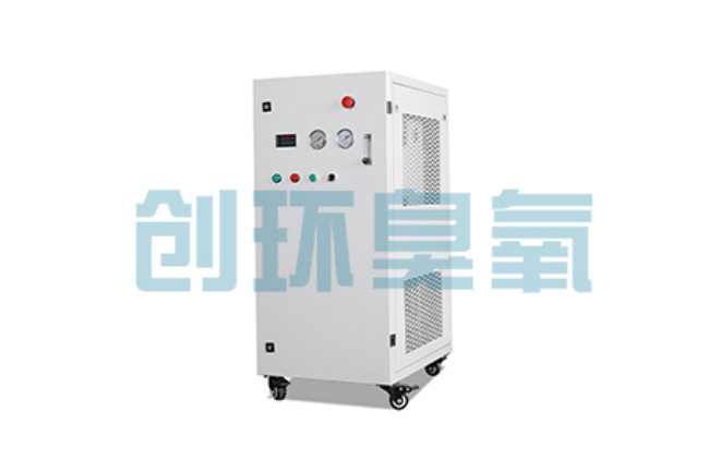 滁州比传统换水更高效？臭氧发生器在石斑鱼养殖中的水质净化原理解析